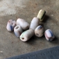 Африканские стеклянные бусины Кробо - African Ghana Krobo Beads. Лот из восьми бусин Африканские стеклянные бусины Кробо - African Ghana Krobo Beads. Лот из восьми б