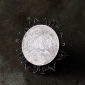 Кольцо с монетой.  Автор - Щучкина Евгения