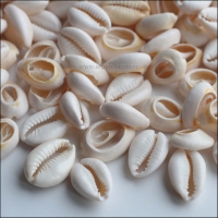 этническая фурнитура для расшивки костюма. Ракушки каури. Нашивки