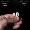 этническая фурнитура для расшивки костюма. Ракушки каури. Нашивки